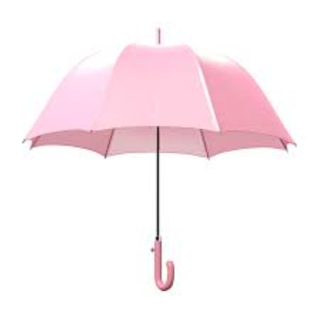 LADIES SATIN UMBRELLA 80CM CURVED HANDLE U99
